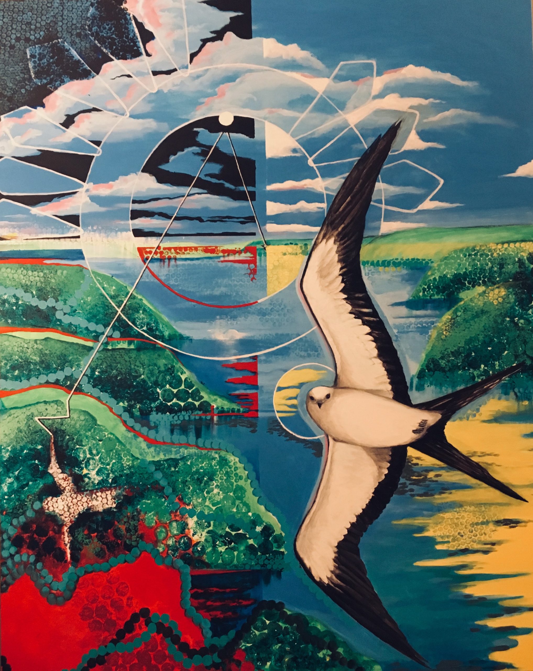 Wakanhdi Sapa’s Medicine Bird 2019